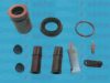 AUTOFREN SEINSA D42281C Repair Kit, brake caliper